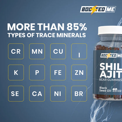 Daily Shilajit Bear Gummies